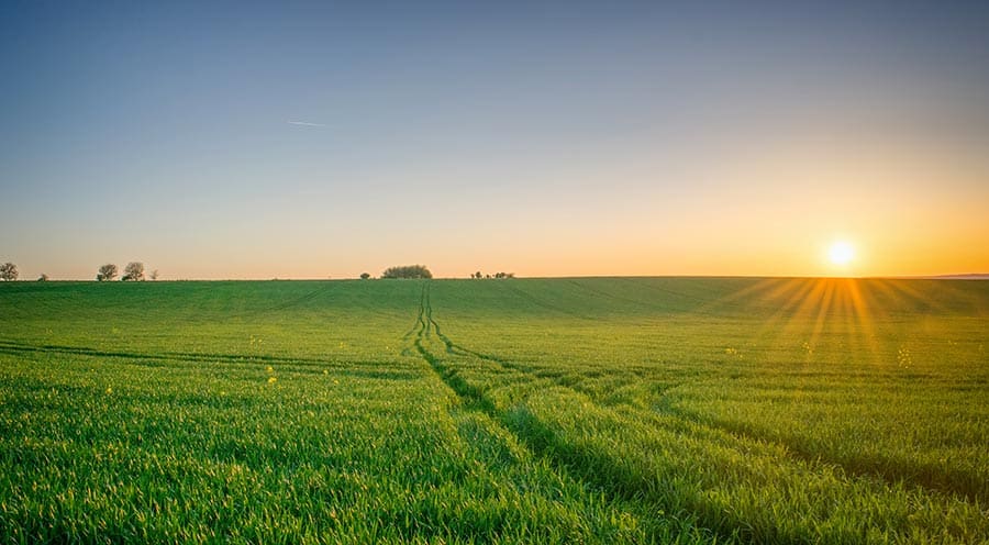 Urbanisation du système d'information des coopératives agricoles