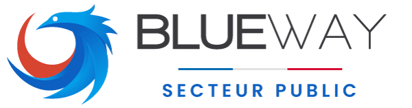 Logo Blueway Secteur public