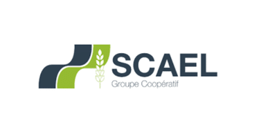 logo scael