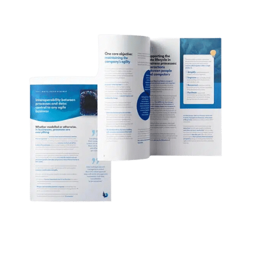 esb-bpm white paper