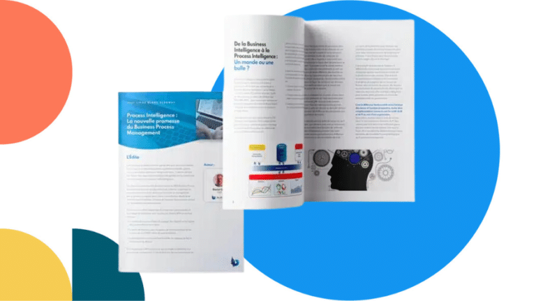 Livre blanc process intelligence