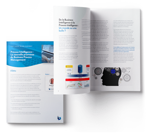 Livre blanc process intelligence